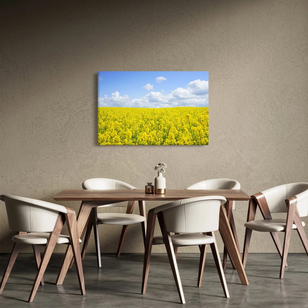 Obraz žltého poľa (90x60 cm)
