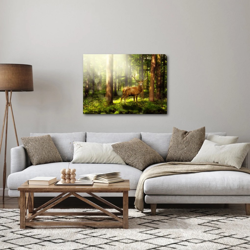 Obraz jeleňa v lese (70x50 cm)