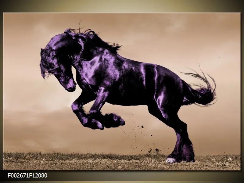 Obraz na plátne Čierny žrebec, Obdĺžnik 120x80cm 87,92 €