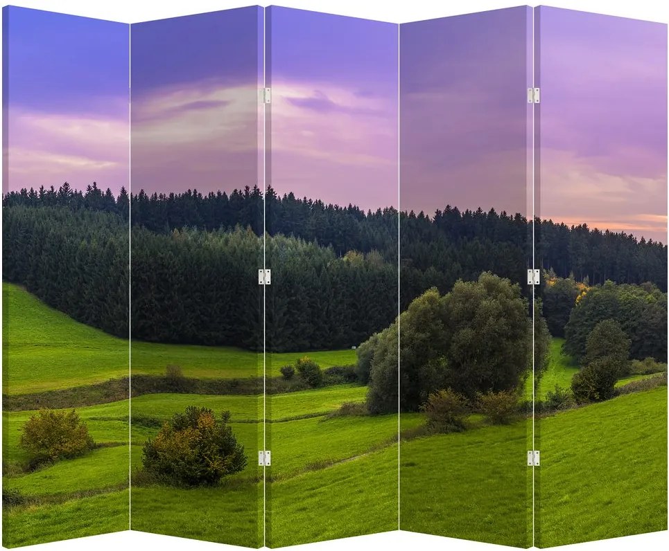Paraván - Lúka (210x170 cm)