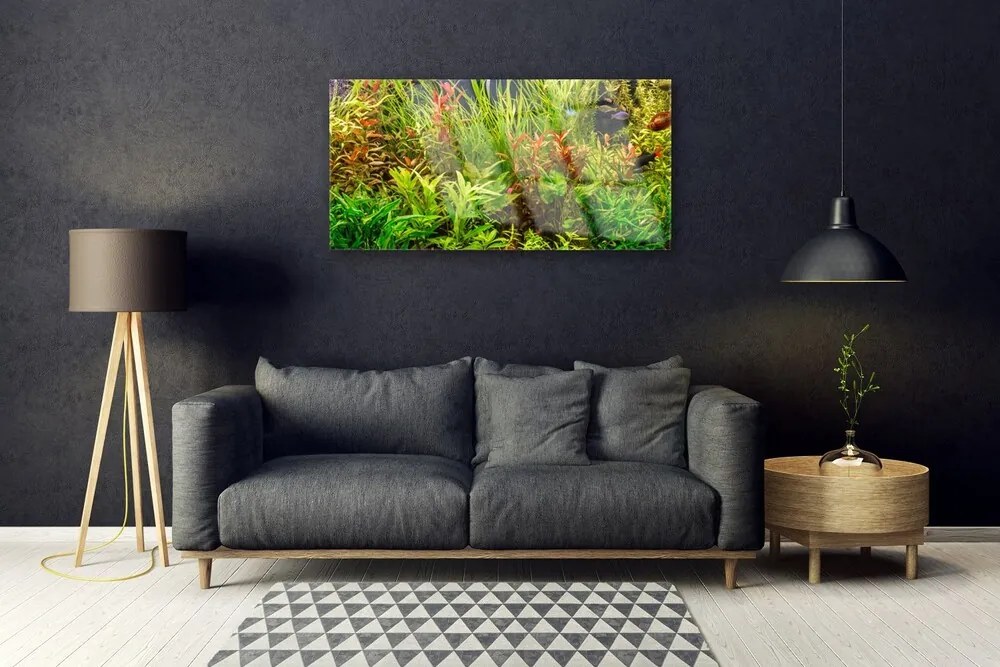 Skleneny obraz Akvárium rybičky rastliny 100x50 cm