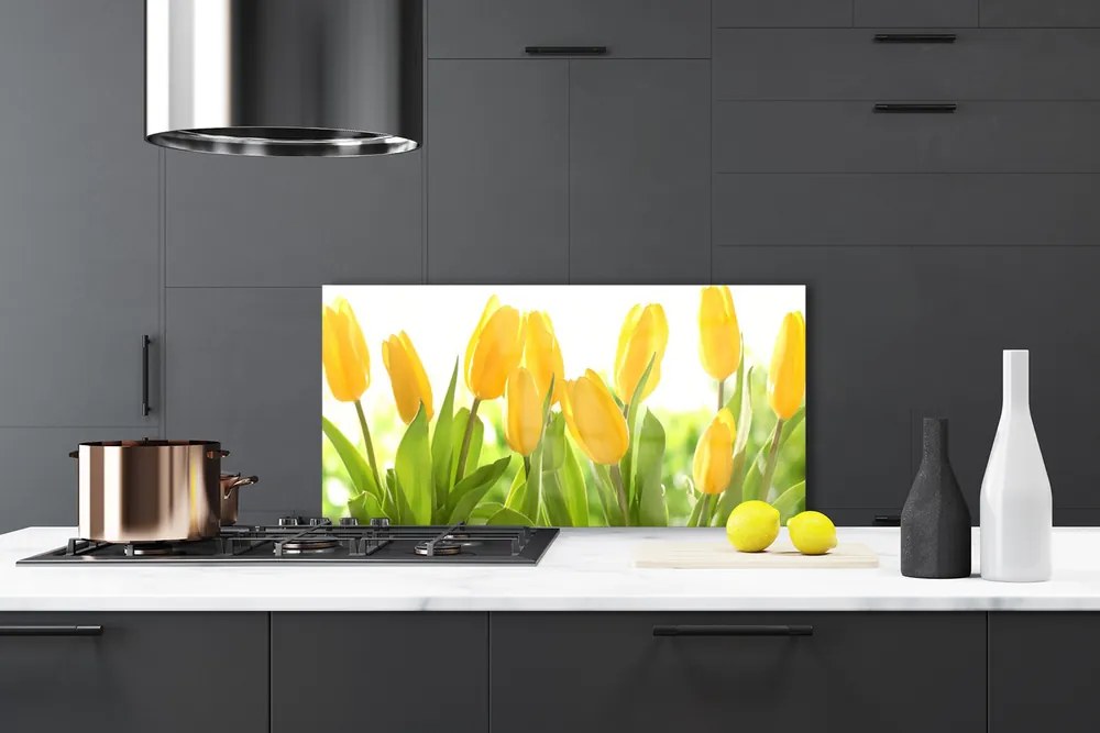 Sklenený obklad Do kuchyne Tulipány kvety rastlina 120x60 cm