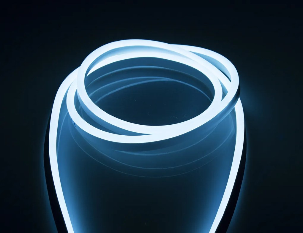 ECOLIGHT LED pásik NEON - 230V - 1m - 8W/m - IP68 - vodotesný - cyan
