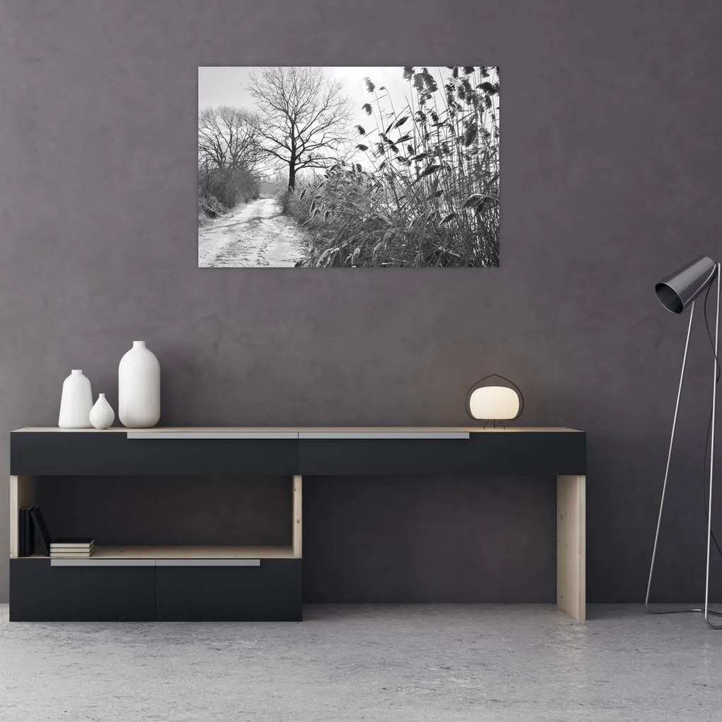Obraz - Pole v zime (90x60 cm)
