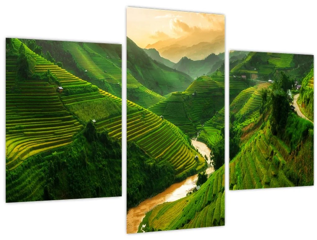 Obraz - Ryžové terasy Mu Cang Chai (90x60 cm)