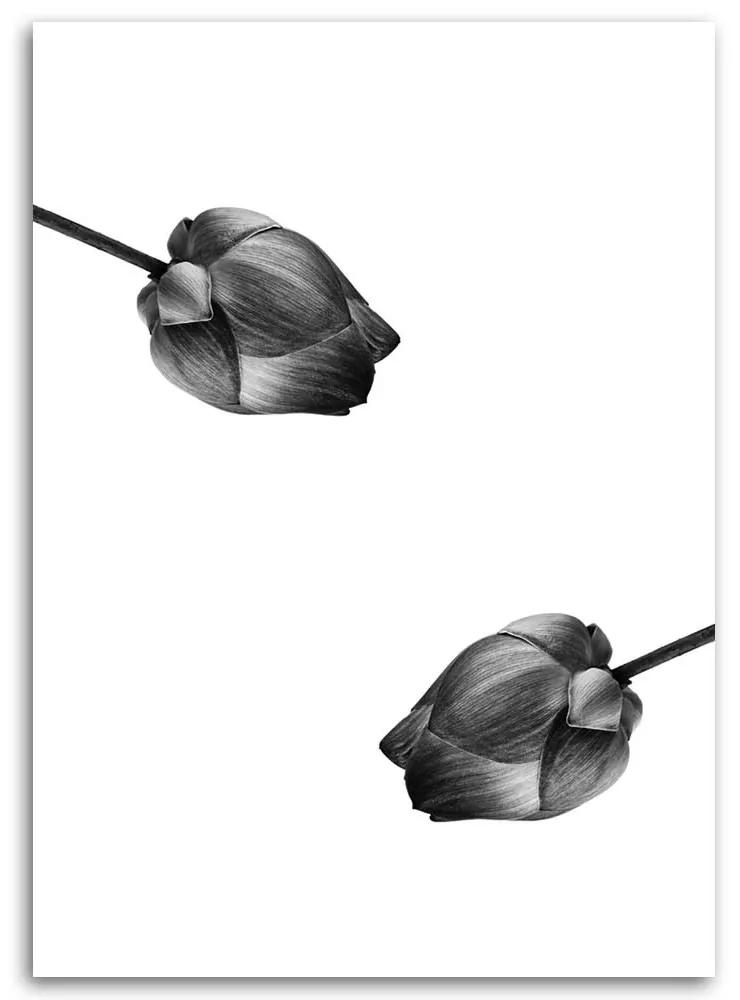 Obraz na plátně Květina Příroda Černá a bílá - 60x90 cm