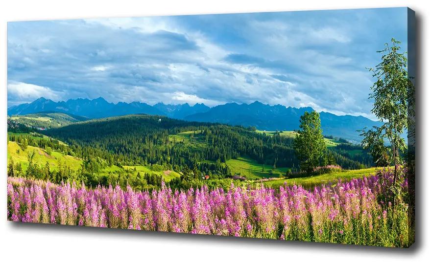 Foto obraz canvas Levanduľa v horách pl-oc-100x50-f-71828150
