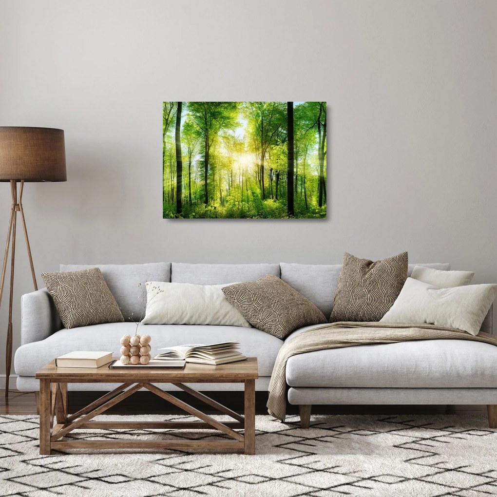 Sklenený obraz - Svitanie v lese (70x50 cm)