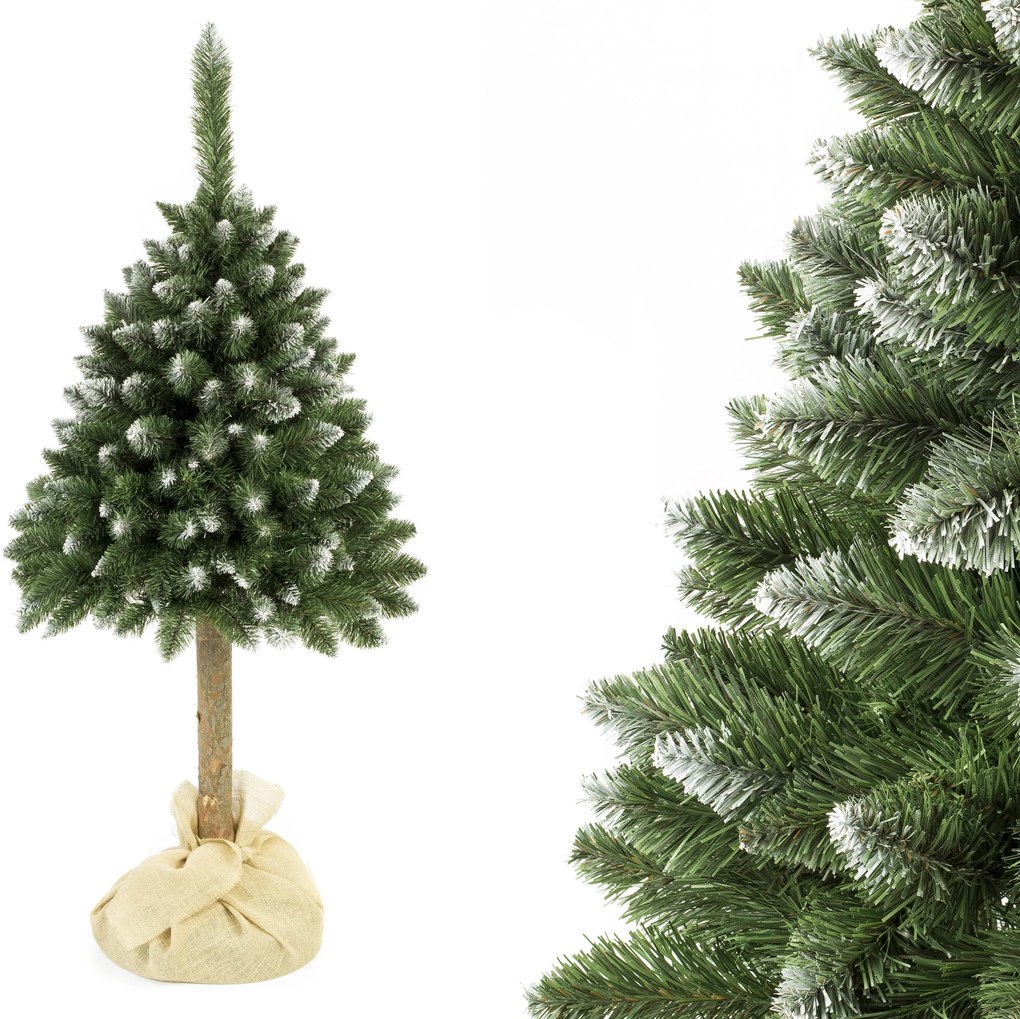 Vianočný stromček Borovica diamantová na pníku 160 cm