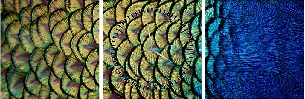 Obraz - Pávie perie (s hodinami) (90x30 cm)