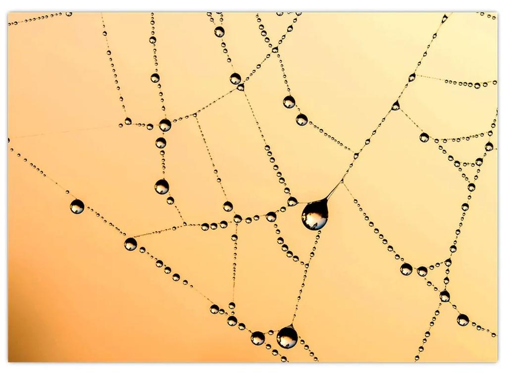 Sklenený obraz orosenej pavučiny (70x50 cm)