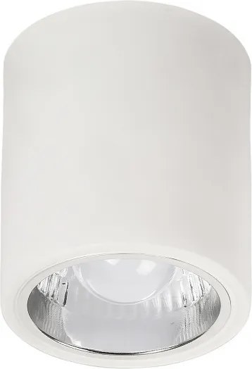 Rábalux Donald 2484 stropné svietidlá  matný biely   kov   E27 1x MAX 60W   IP20