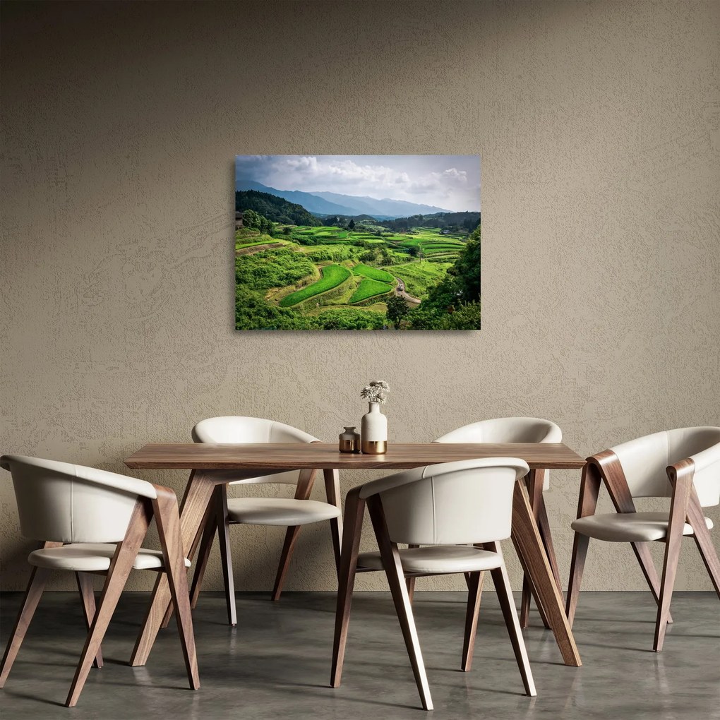 Sklenený obraz ryžových polí (70x50 cm)