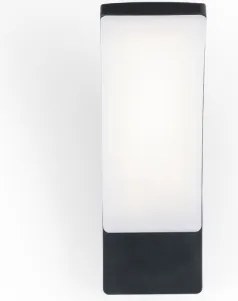 Brilagi - LED Vonkajšie nástenné svietidlo ARCELO LED/9W/230V IP44