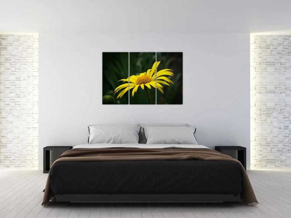Obraz žltého kvetu