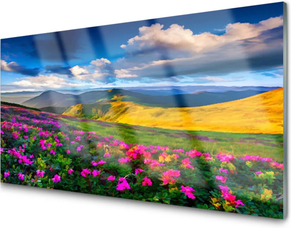 Obraz na akrylátovom skle Lúka kvety príroda