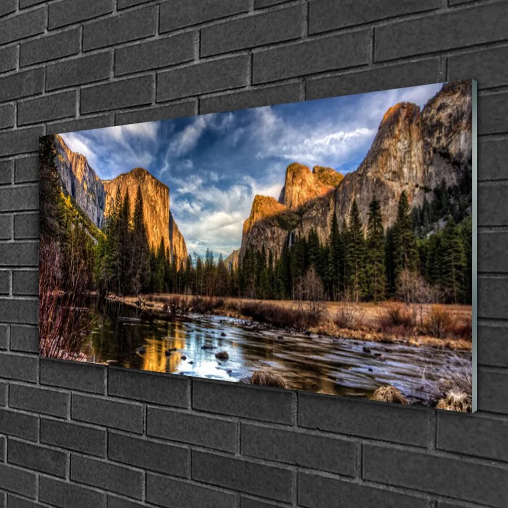 Obraz na skle Hora les jazero príroda 100x50 cm