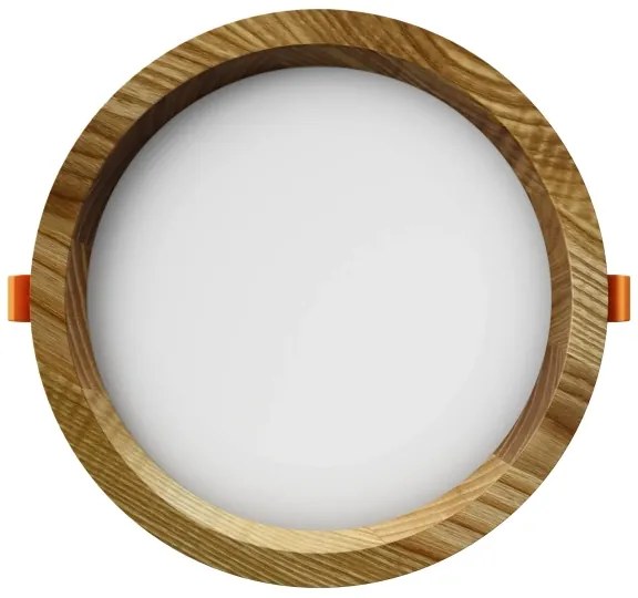 APLED - LED Podhľadové RONDO WOODLINE LED/12W/230V 3000K pr. 20 cm jaseň masív
