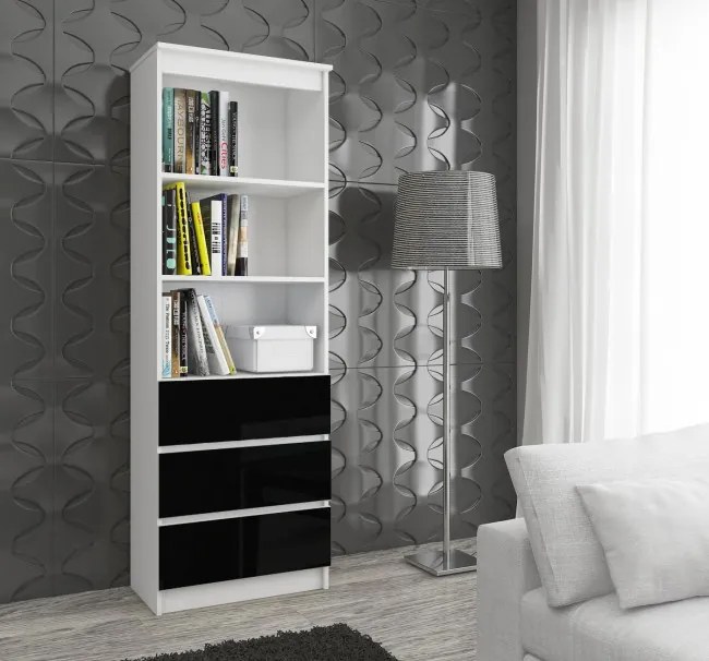 Regál R60 3SZ 2P CLP biely / čierny lesk