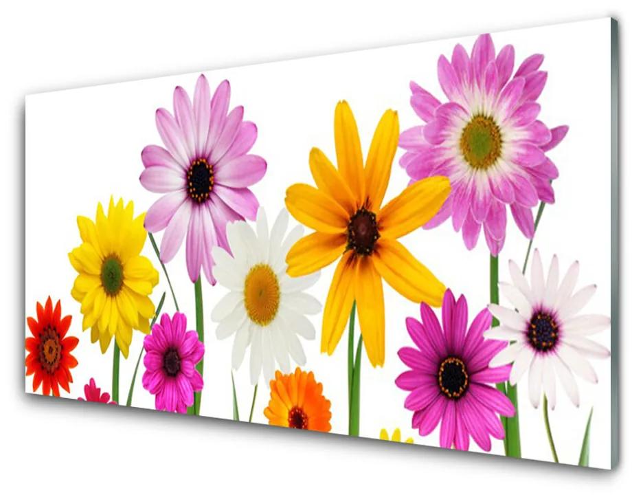 Obraz plexi Farebné kvety príroda 100x50 cm