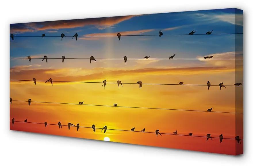 Obraz na plátne Vtáky na lanách západu slnka 125x50 cm