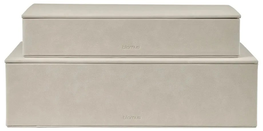 Béžové úložné boxy v súprave 2 ks s vekom z umelej kože 40x30x11 cm Sahla – Blomus