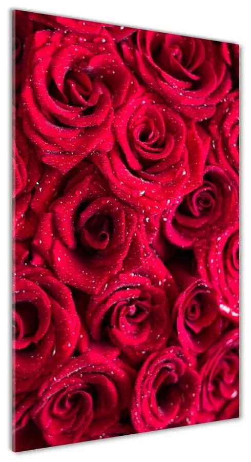 Foto obraz akrylový do obývačky Červené ruže pl-oa-70x140-f-122317792