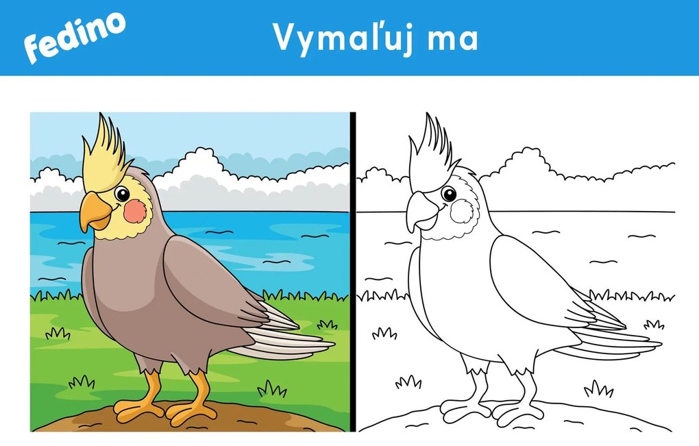 Omaľovánky – balík 2(20ks) – platený