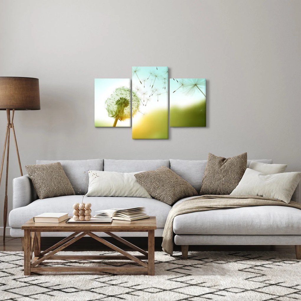 Obraz - Púpava vo vetre (90x60 cm)