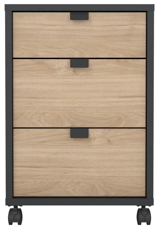 Skrinka v dekore duba v antracitovo-prírodnej farbe 41x61 cm Sign – Tvilum