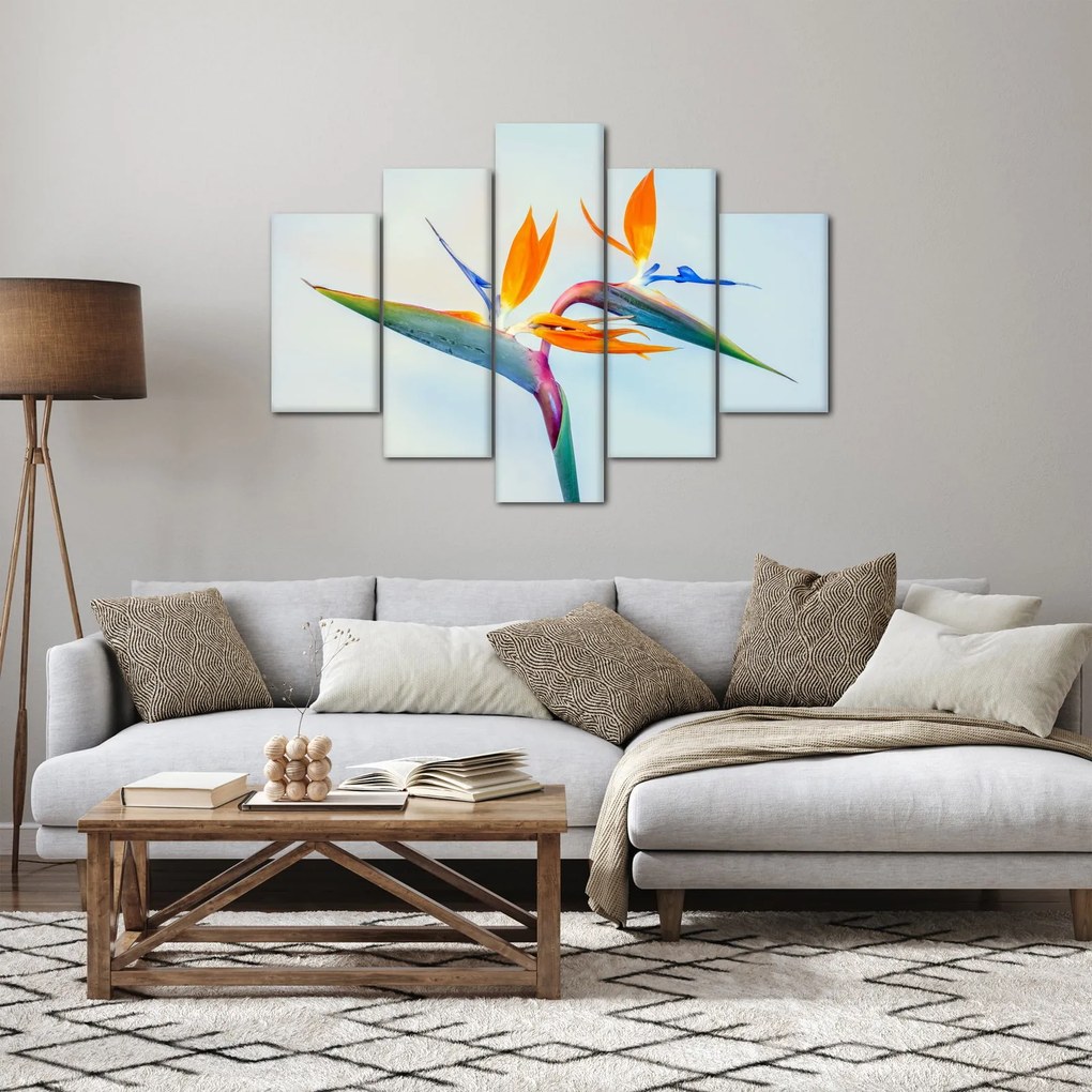 Obraz kvetu Strelícia (150x105 cm)