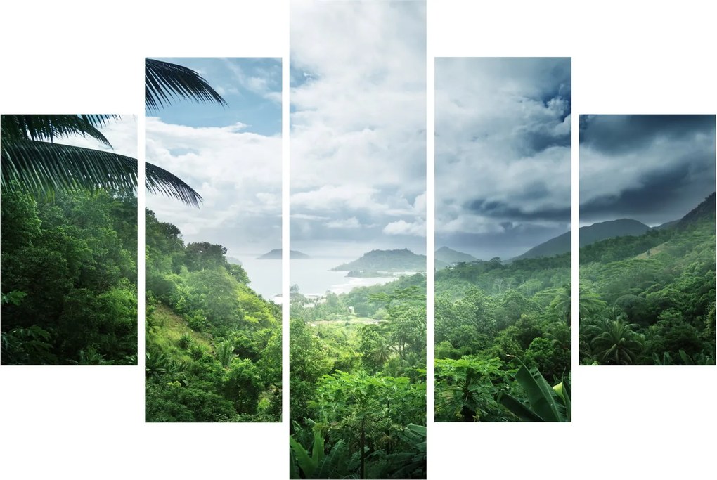 Obraz - Seychelská jungle (150x105 cm)