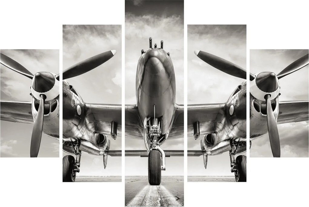 Obraz - Warbird (150x105 cm)