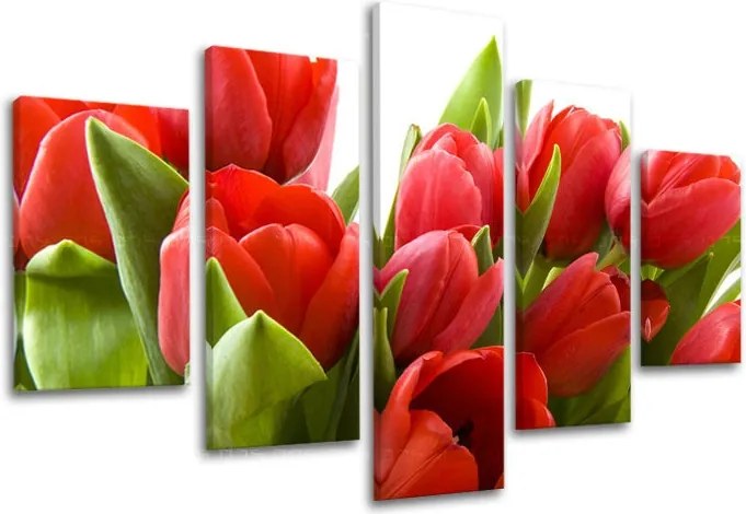 Obraz na stenu 5 dielny KVETY XOBKV120E50 - 100x80 cm
