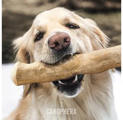 Hračka pre psov do 5 kg CANOPHERA žuvacia tyčinka z kávového dreva XS cca 16 - 18 cm