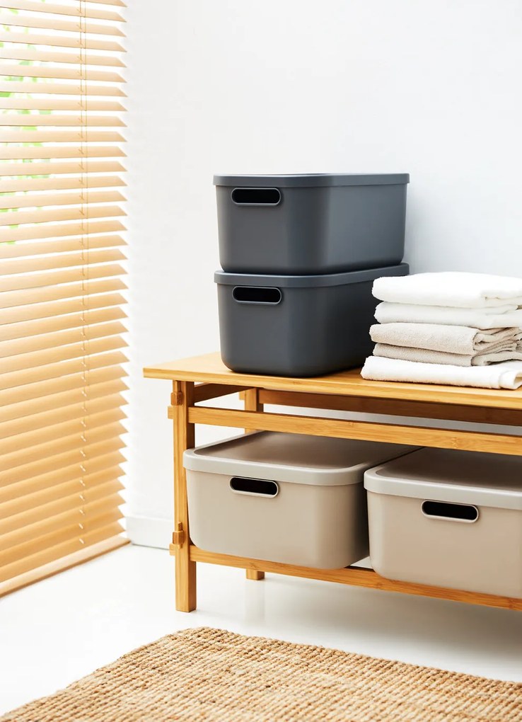 Rotho Úložný box, rovný s vekom, 12 l, cappuccino ALBU LIGHT, 40 x 24 x 18 cm