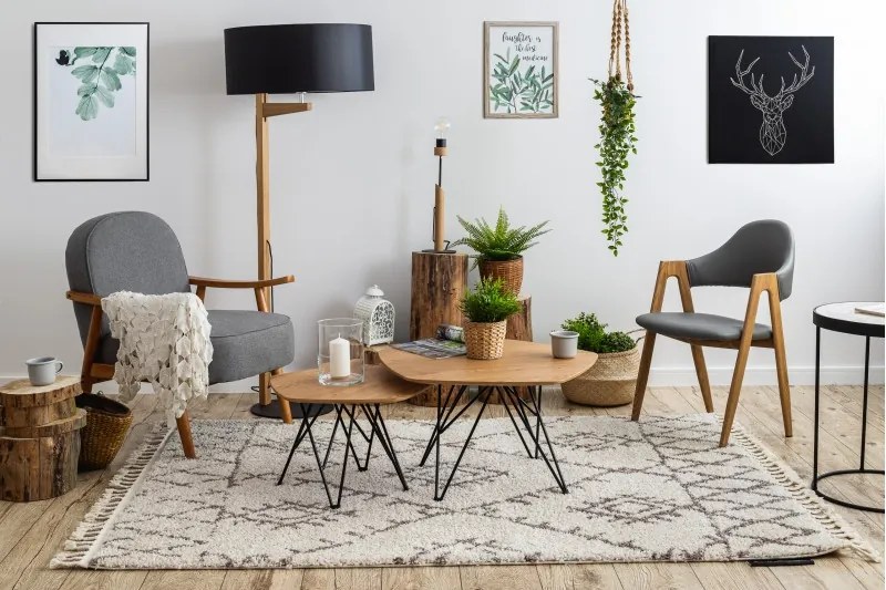 Kusový koberec Berber Fez G0535 cream and brown, 120x170, béžová, obývacia izba, Dywany Łuszczów