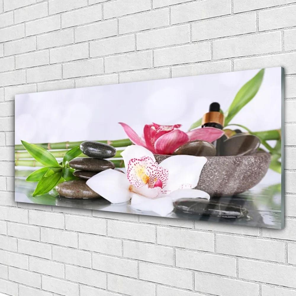 Obraz plexi Orchidea kamene bambus 125x50 cm