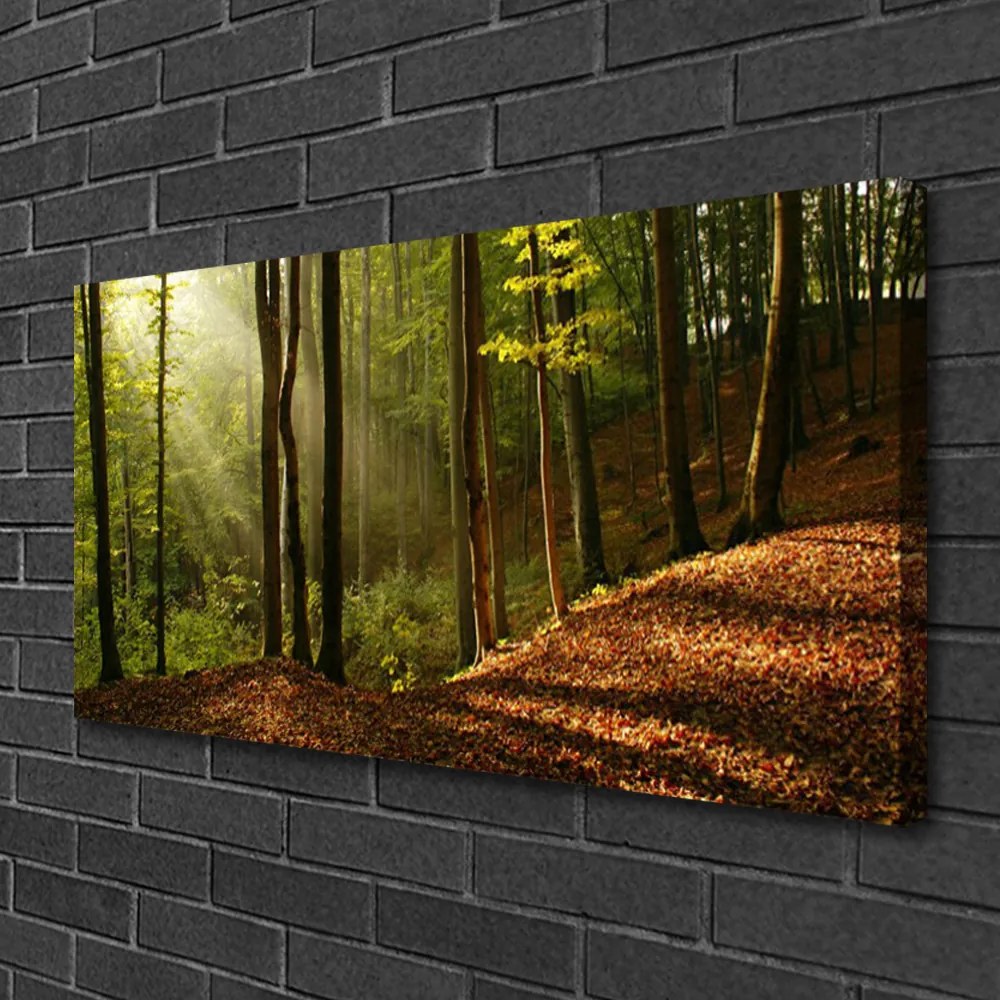 Obraz Canvas Les stromy príroda 120x60 cm