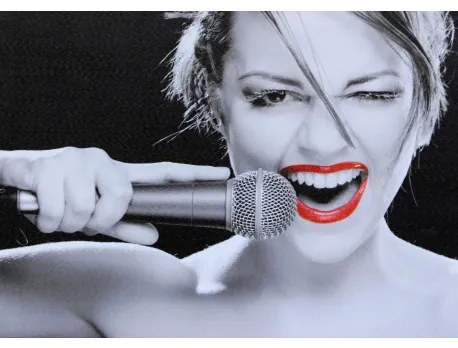 Obraz tlačený na plátne 50x70 PRC251