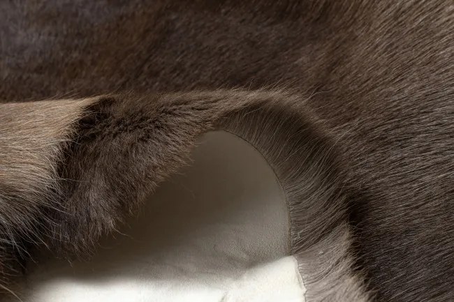 Koberec RENIFER POK010 PREMIUM hnedý