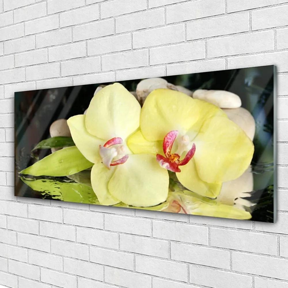 Obraz plexi Okvetné plátky orchidea 125x50 cm
