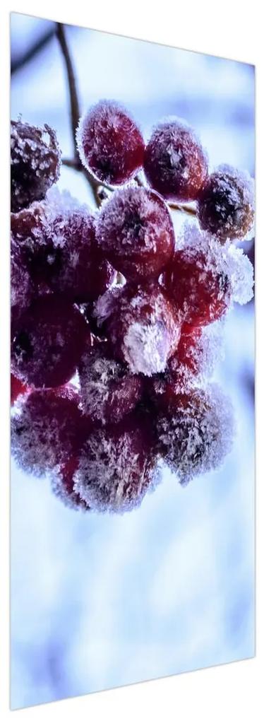 Fototapeta na dvere - Zmrznuté ovocie (95x205cm)