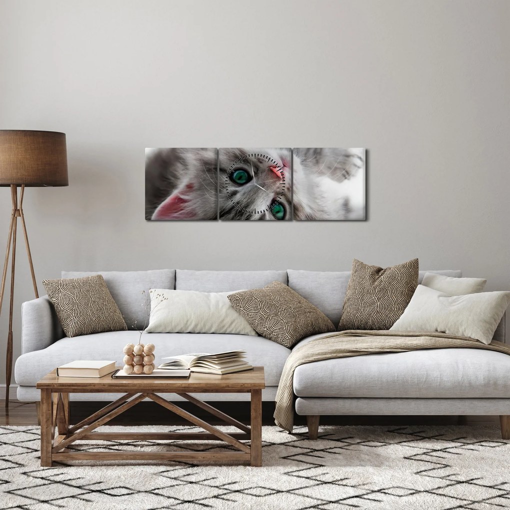 Obraz - Mačka so zelenými očami (s hodinami) (90x30 cm)
