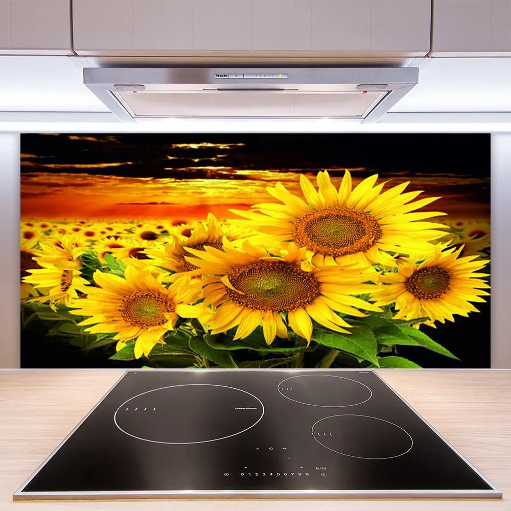 Sklenený obklad Do kuchyne Slnečnica kvet rastlina 100x50 cm