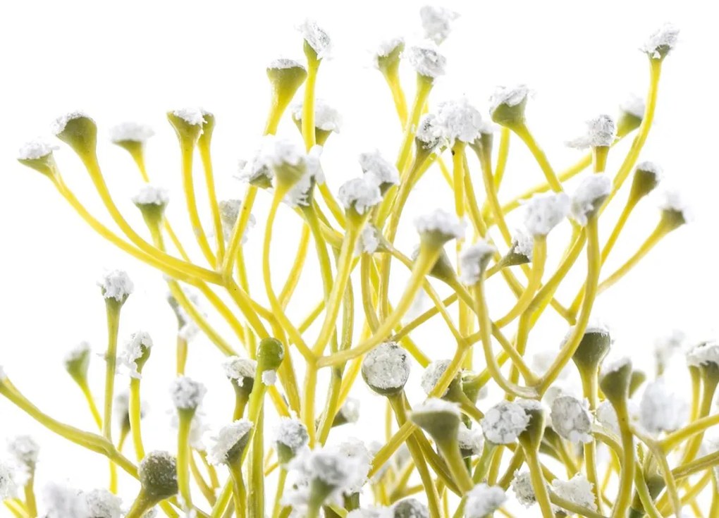 Umelá kvetina v keramickom obale BABI biela