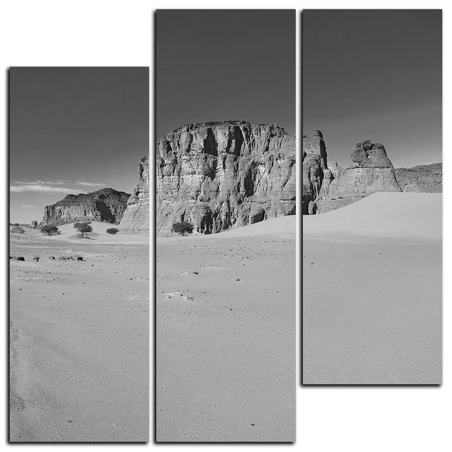 Obraz na plátne - Cesta v púšti - štvorec 3129QD (105x105 cm)