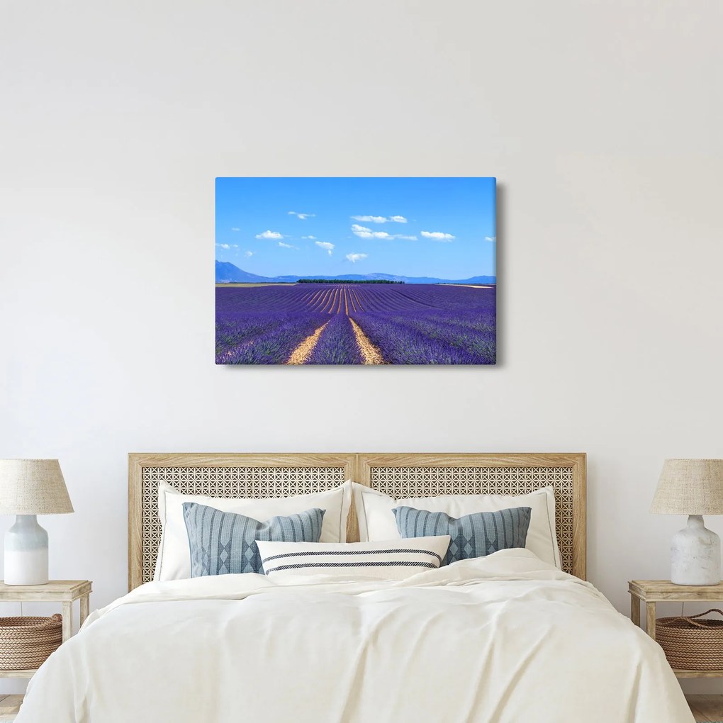 Obraz - Levanduľové pole (90x60 cm)