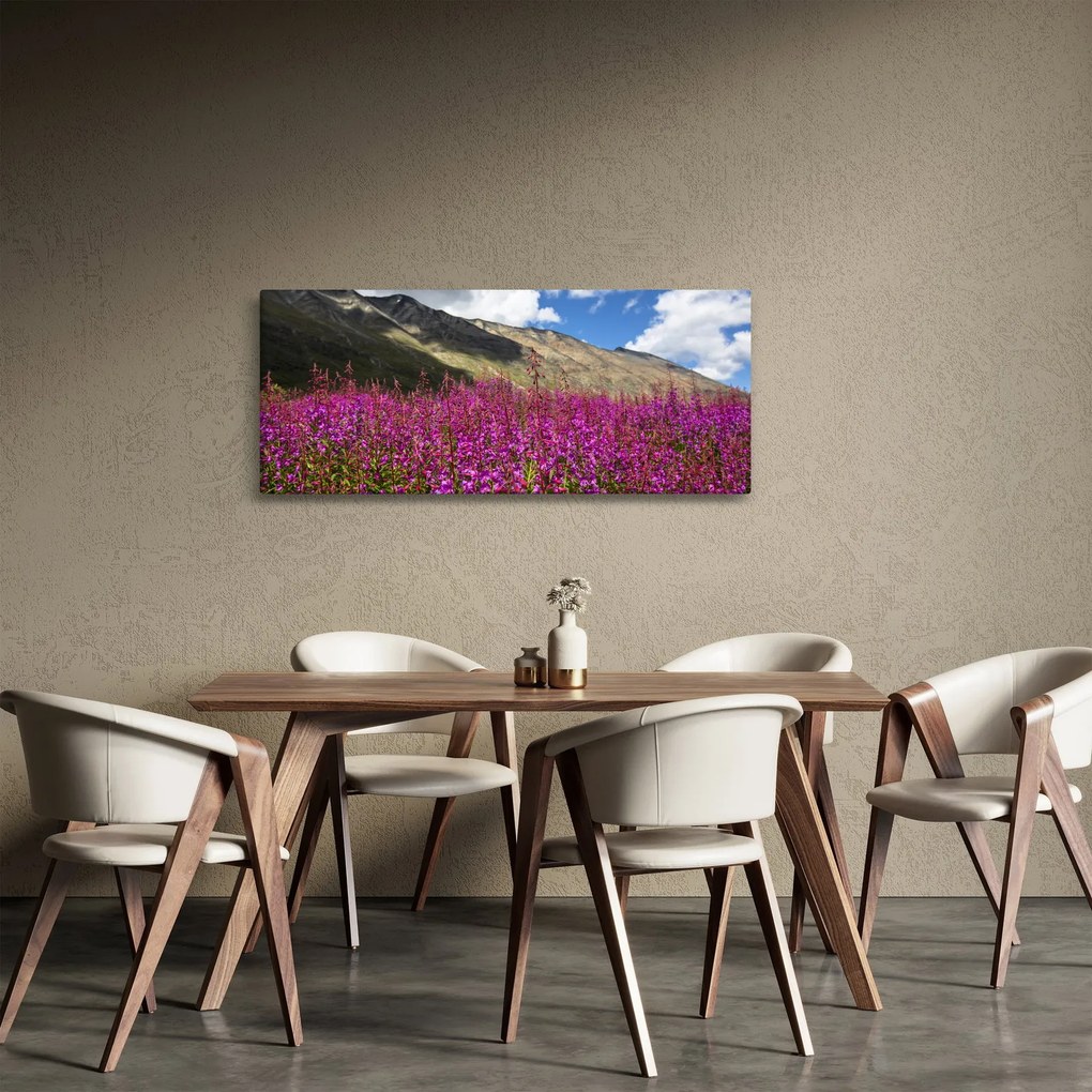 Obraz scenérie horské lúky (120x50 cm)