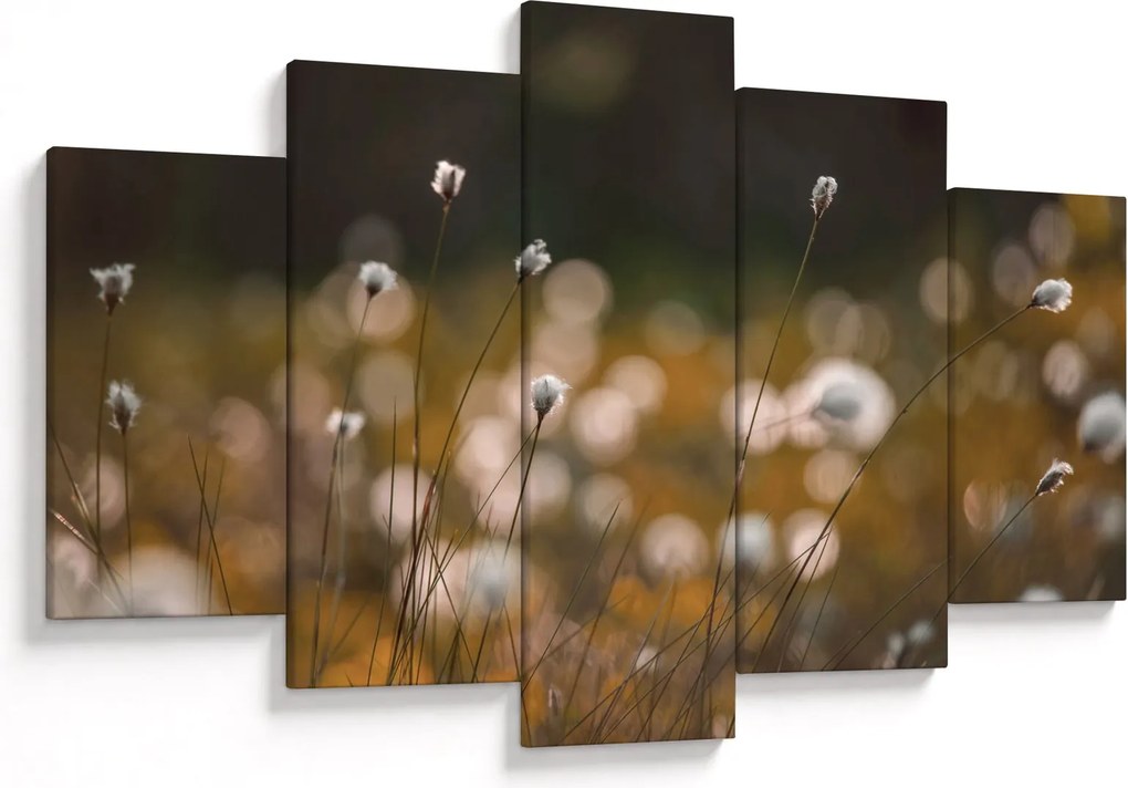 Obraz - Lúka s cottongrass N⁰2 (150x105 cm)